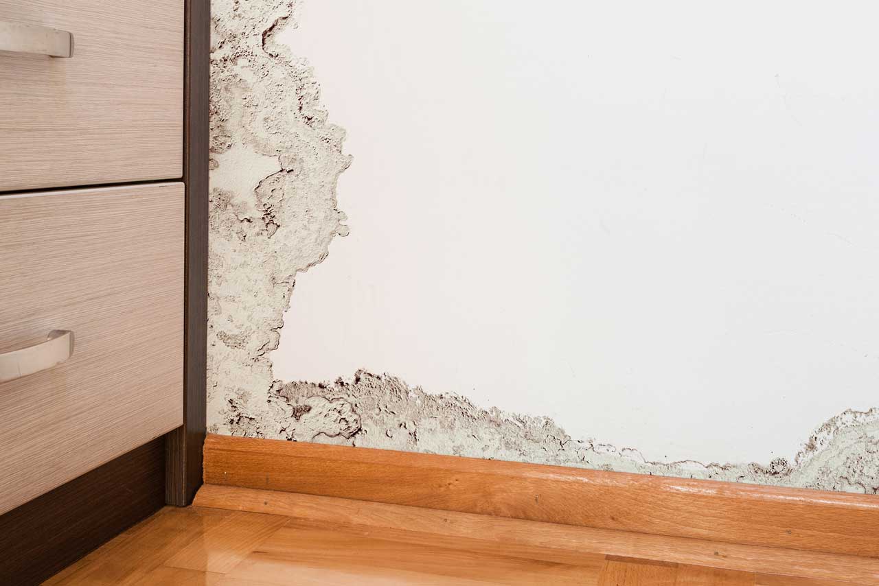 mold-cause-by-water-damage-in-cleveland-oh